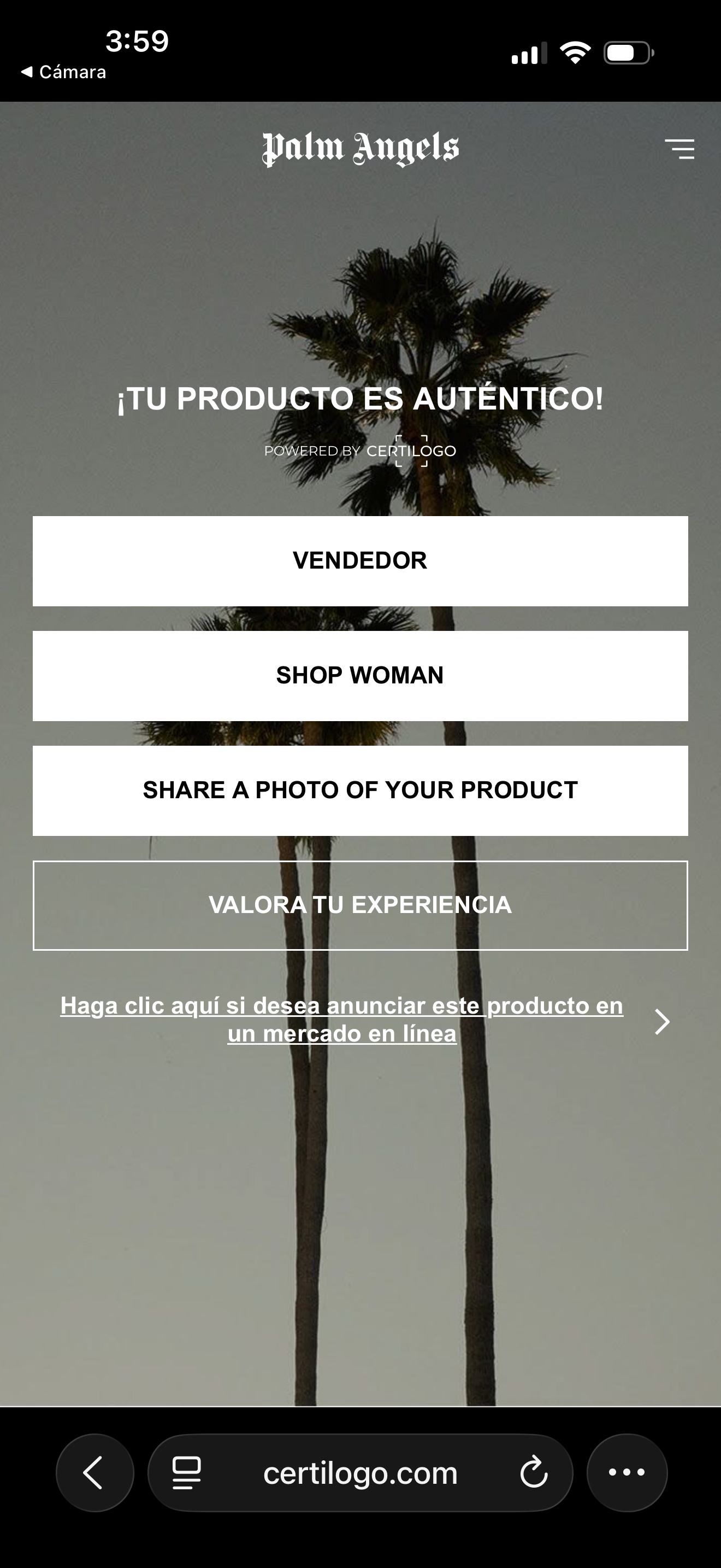 Polera Palm Angels Kill the Bear Negra Hombre XL